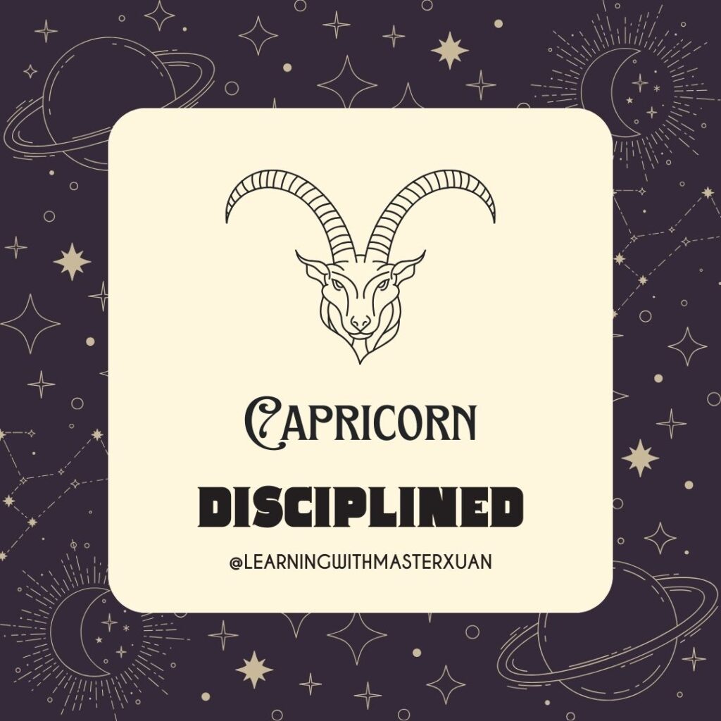 Zodiac signs learning styles: Capricorn