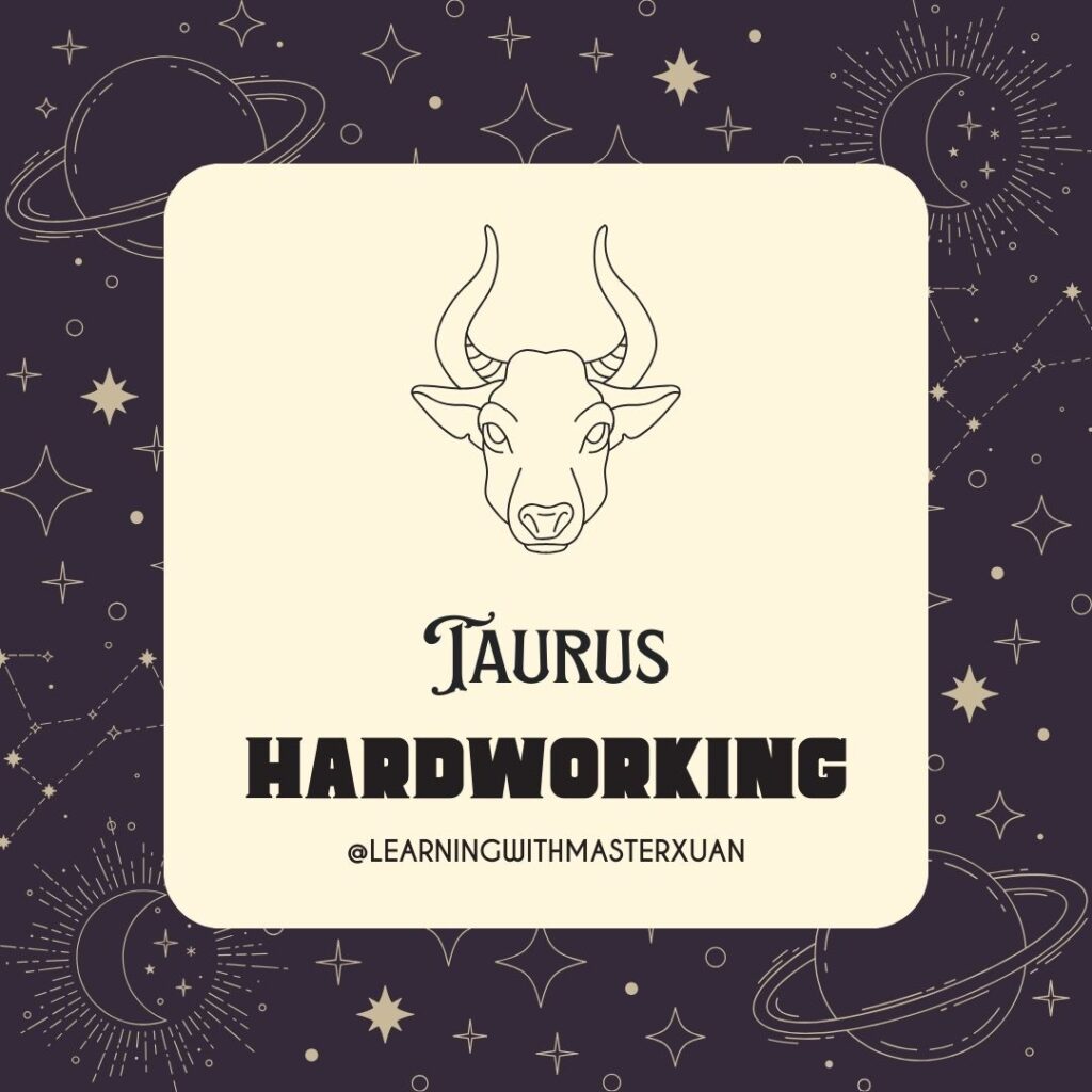 Zodiac signs learning styles: Taurus